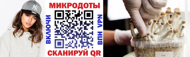 MEGA tor  Краснообск  Псилоцибиновые грибы Psilocybe  где купить наркотик 