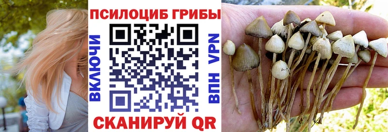 Галлюциногенные грибы Psilocybine cubensis Краснообск